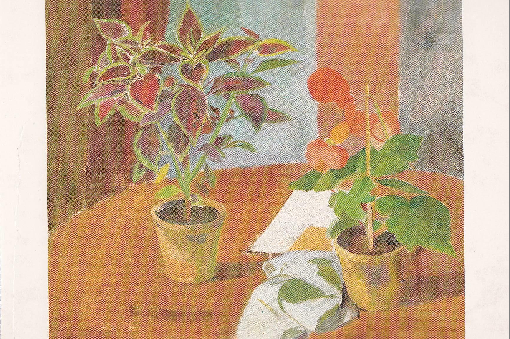 POSTAL B11685: FLOWER PAINTING BOOK OF 30 POSTCARDS: DIFERENTES ARTISTAS. DIVERSOS MUSEOS. DIVERSOS ASPECTOS