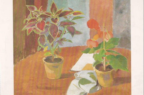 POSTAL B11685: FLOWER PAINTING BOOK OF 30 POSTCARDS: DIFERENTES ARTISTAS. DIVERSOS MUSEOS. DIVERSOS ASPECTOS