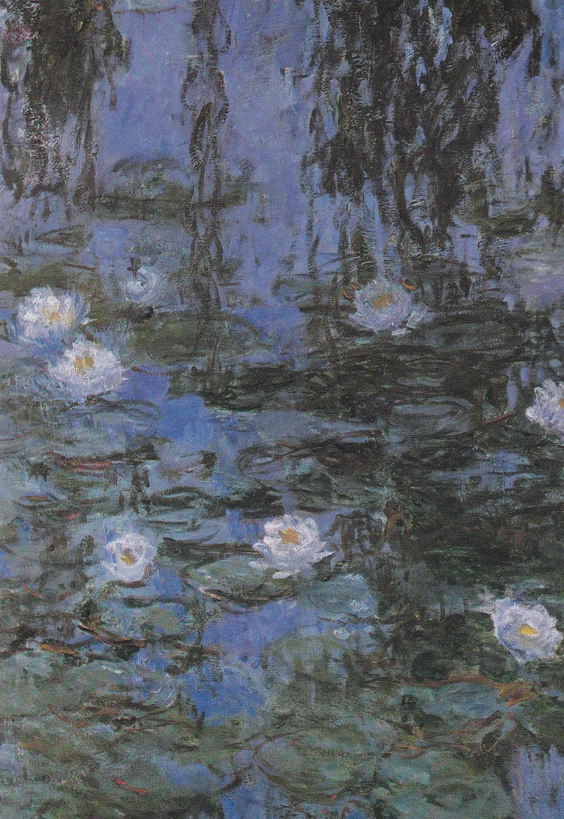 POSTAL B11687: FLOWER PAINTING BOOK OF 30 POSTCARDS: DIFERENTES ARTISTAS. DIVERSOS MUSEOS. DIVERSOS ASPECTOS