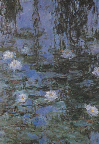 POSTAL B11687: FLOWER PAINTING BOOK OF 30 POSTCARDS: DIFERENTES ARTISTAS. DIVERSOS MUSEOS. DIVERSOS ASPECTOS