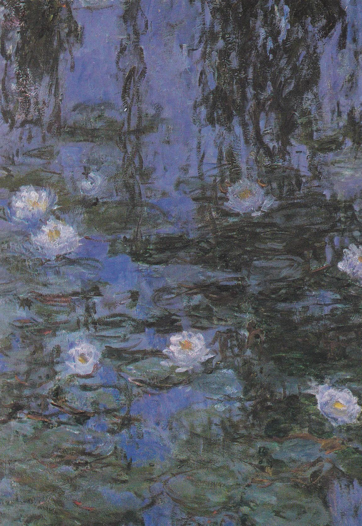 POSTAL B11691: FLOWER PAINTING BOOK OF 30 POSTCARDS: DIFERENTES ARTISTAS. DIVERSOS MUSEOS. DIVERSOS ASPECTOS