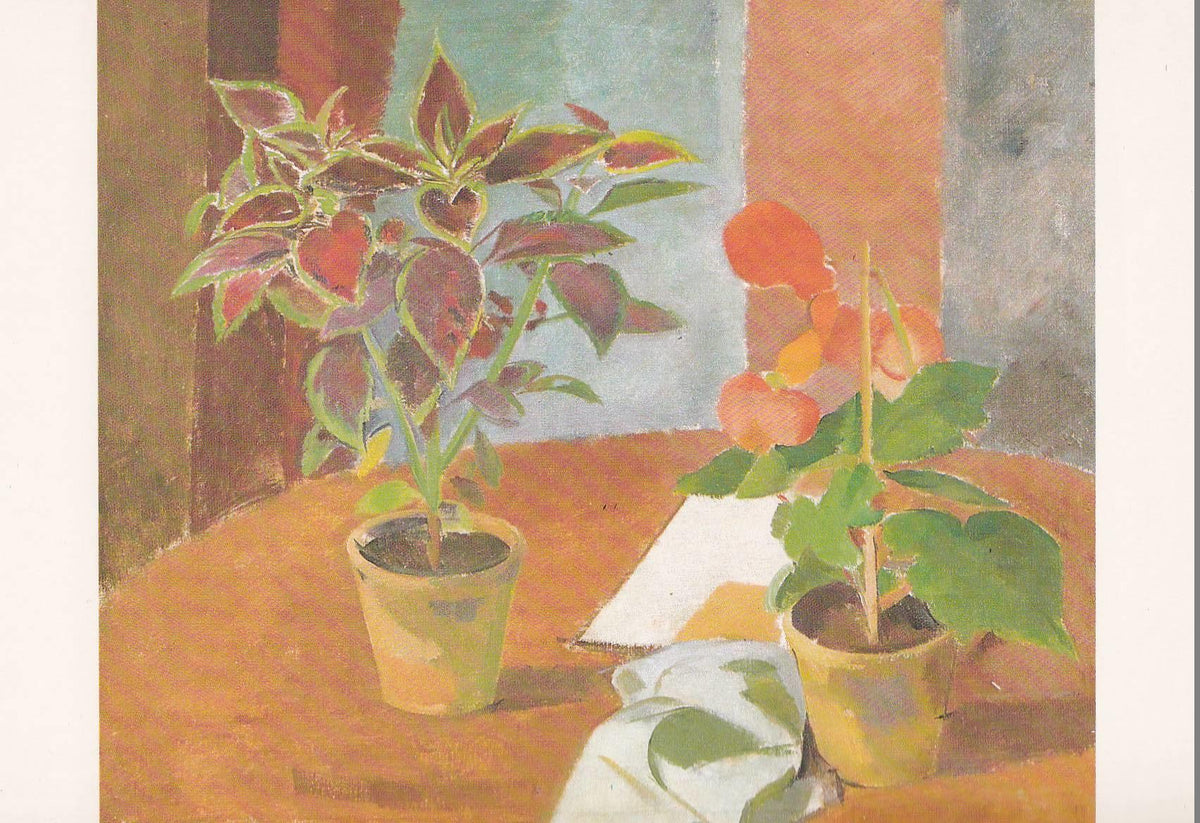 POSTAL B11692: FLOWER PAINTING BOOK OF 30 POSTCARDS: DIFERENTES ARTISTAS. DIVERSOS MUSEOS. DIVERSOS ASPECTOS