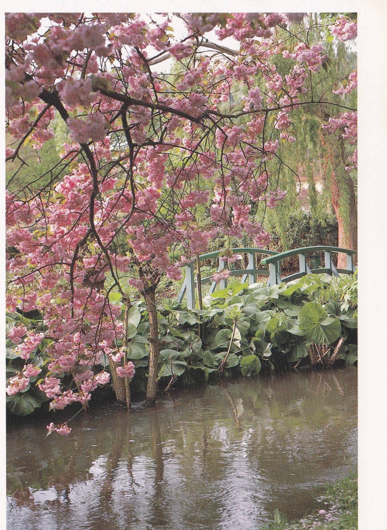 POSTAL B11697: MONET S GARDENS AT GIVERNY: DIVERSOS ASPECTOS