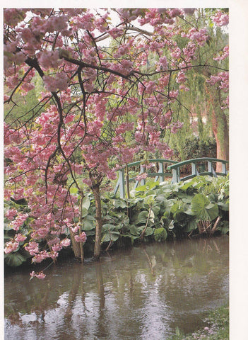 POSTAL B11697: MONET S GARDENS AT GIVERNY: DIVERSOS ASPECTOS