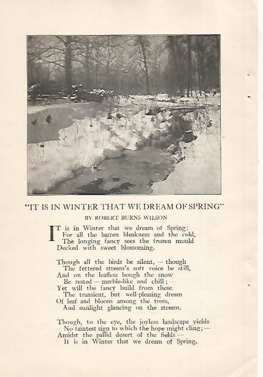 LAMINA 12461: Foto para el poema de Robert Burns Wilson
