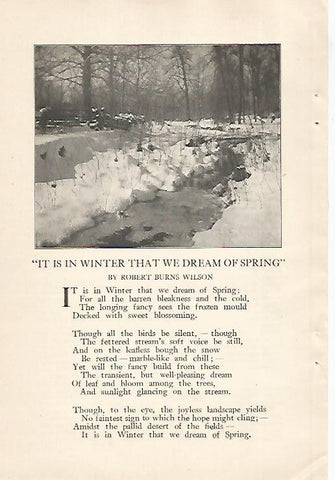 LAMINA 12461: Foto para el poema de Robert Burns Wilson