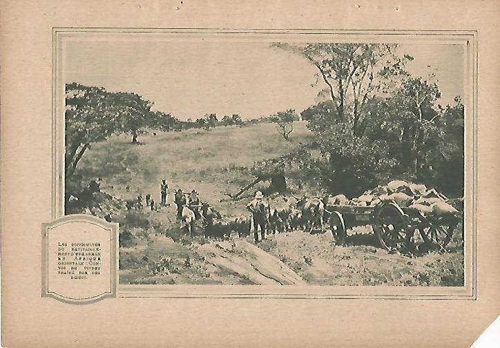 LAMINA 12512: Aliados en Africa Oriental