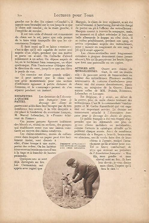 LAMINA 12604: Perro y cuidador en la Gran Guerra