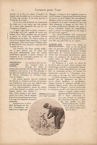 LAMINA 12604: Perro y cuidador en la Gran Guerra