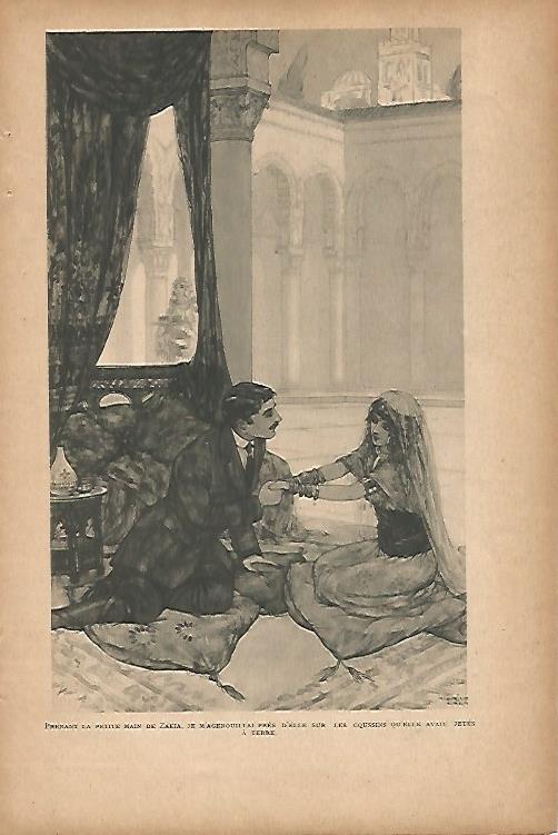 LAMINA 12686: Zakia