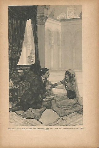 LAMINA 12686: Zakia
