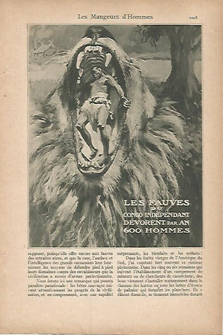 LAMINA 12798: Leon 