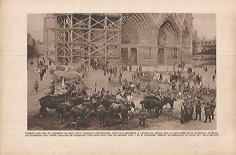LAMINA 12903: Reims el 6 de septiembre de 1914