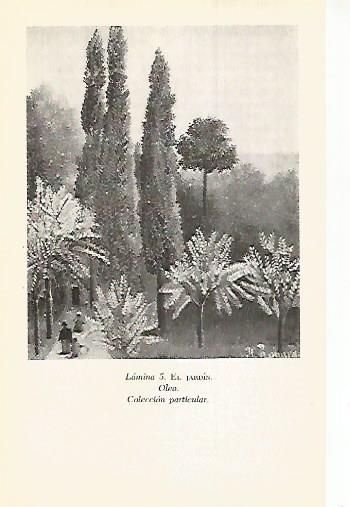 LAMINA 12932: El jardin