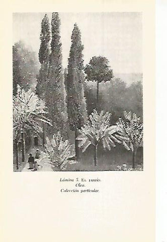 LAMINA 12932: El jardin