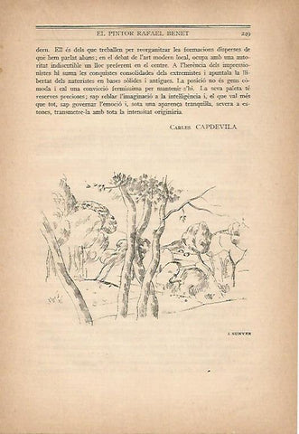 LAMINA 12965: Dibujo de J. Sunyer