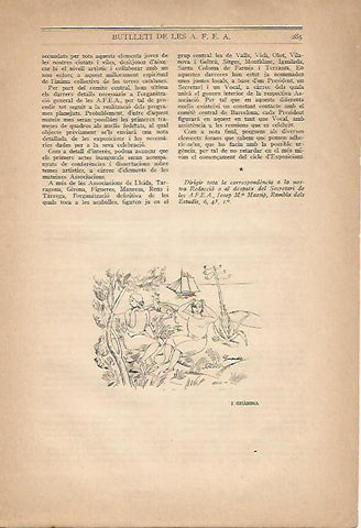 LAMINA 12973: Dibujo de J. Guardia