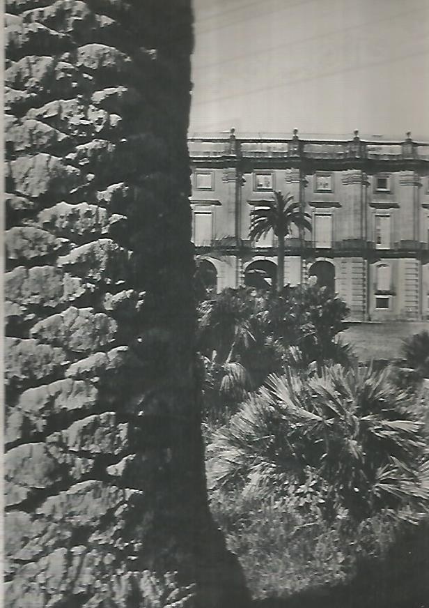 LAMINA 13003: Jardines del Museo Campodimonte