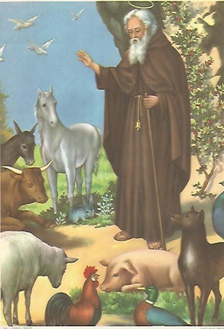 LAMINA 13036: San Antonio numero 101