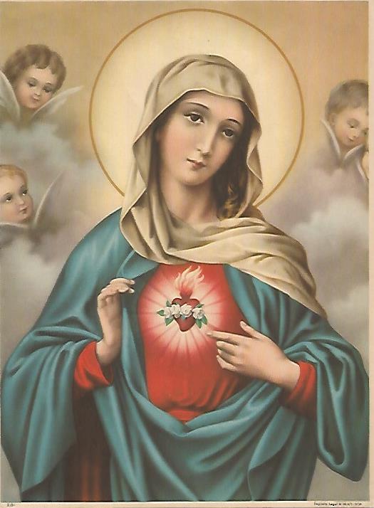 LAMINA 13039: Sagrado Corazon de Maria numero 81