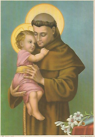 LAMINA 13048: San Narciso numero 88