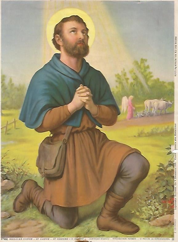 LAMINA 13054: San Isidro numero 17161