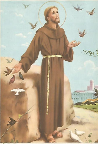 LAMINA 13071: San Vicente de Asis numero 125
