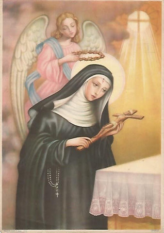 LAMINA 13077: Santa Rita numero 2462