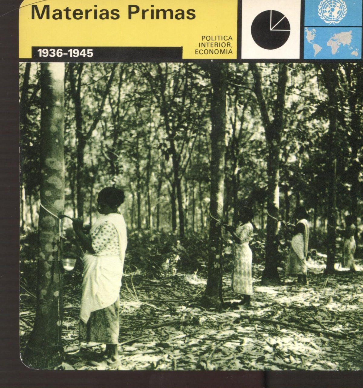 FICHA POLITICA INTERIOR ECONOMIA 03: Materias primas 1936-1945 (recogida de caucho)