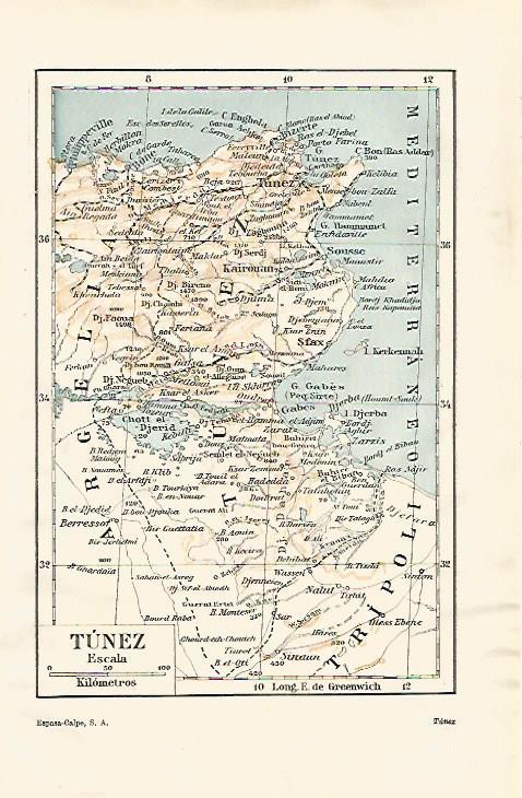 LAMINA ESPASA 31724: Mapa de Tunez