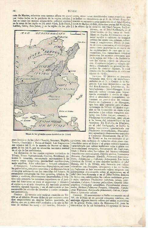 LAMINA ESPASA 31726: Mapa de las zonas tectonicas de  Tunez