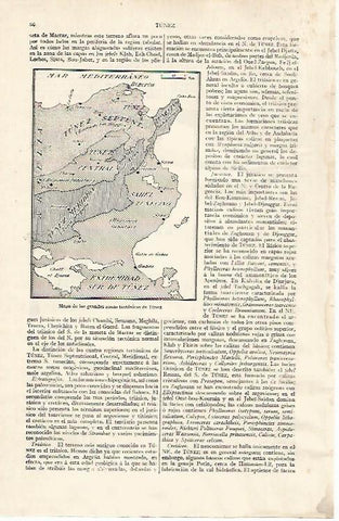 LAMINA ESPASA 31726: Mapa de las zonas tectonicas de  Tunez