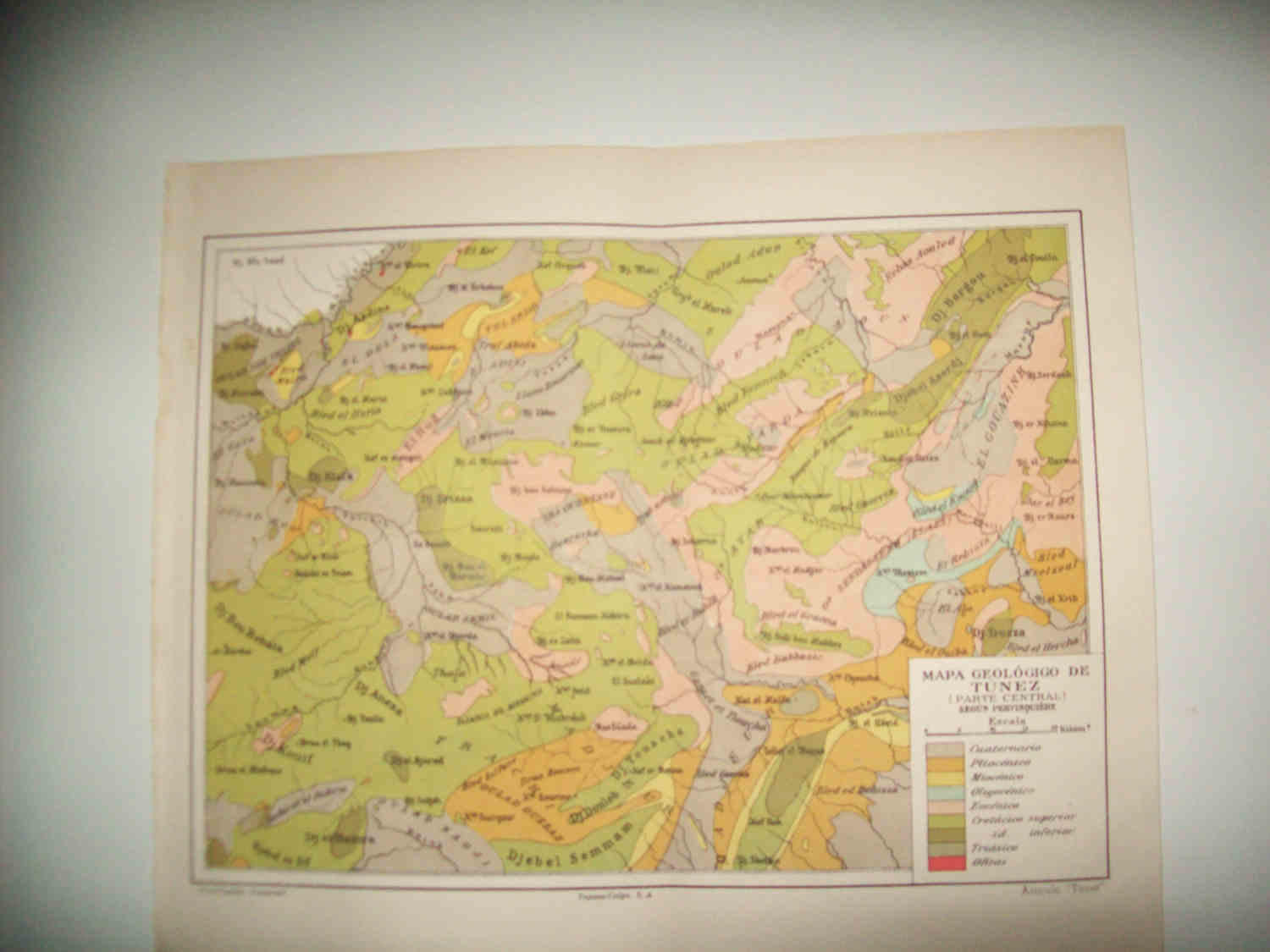 LAMINA ESPASA 31727: Mapa geologico de Tunez