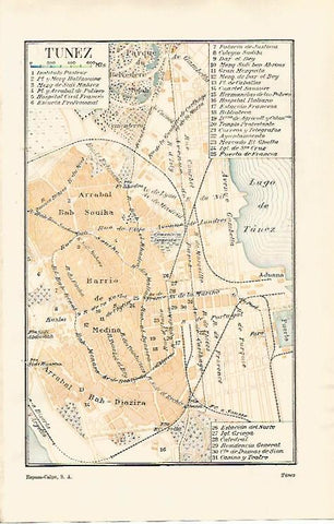 LAMINA ESPASA 31732: Mapa de la ciudad de Tunez