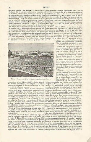 LAMINA ESPASA 31736: Cementerio musulman en Tunez
