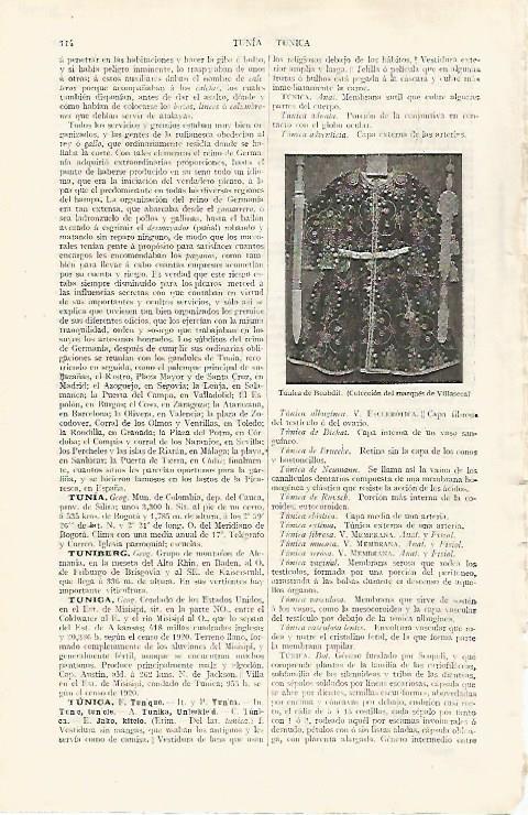 LAMINA ESPASA 31740: Tunica de Boabdil
