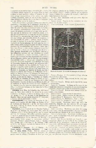 LAMINA ESPASA 31740: Tunica de Boabdil