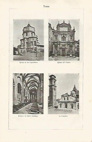LAMINA ESPASA 31759: Iglesias y catedral de Turin