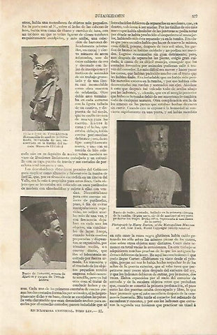 LAMINA ESPASA 31822: Bustos de Tutakhamon y Nefertiti