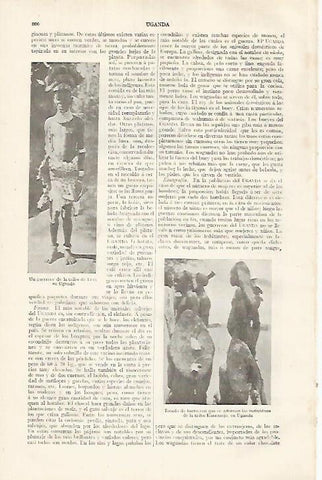 LAMINA ESPASA 31845:Guerrero de la tribu Teso en Uganda
