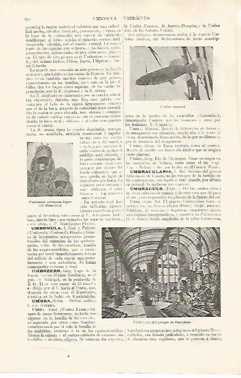LAMINA ESPASA 31869: Umbraculo del Parque de Barcelona
