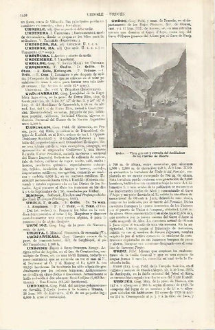 LAMINA ESPASA 31927: Vista de Urdos Francia