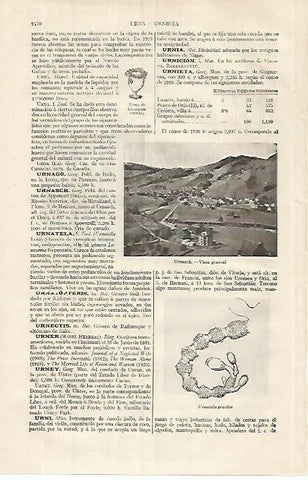 LAMINA ESPASA 31933: Vista de Urnasch Suiza