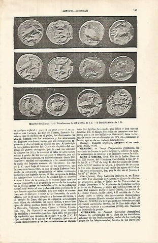 LAMINA ESPASA 31983: Monedas dee Girgenti Italia