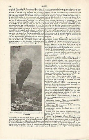 LAMINA ESPASA 32005: Globo aleman para la guerra