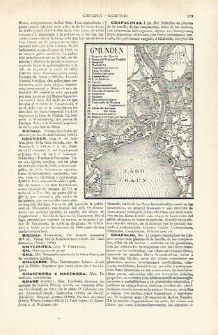 LAMINA ESPASA 32009: Plano de Gmunden Austria