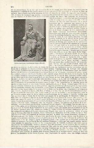 LAMINA ESPASA 32021: Goethe moribundo por Eberlei