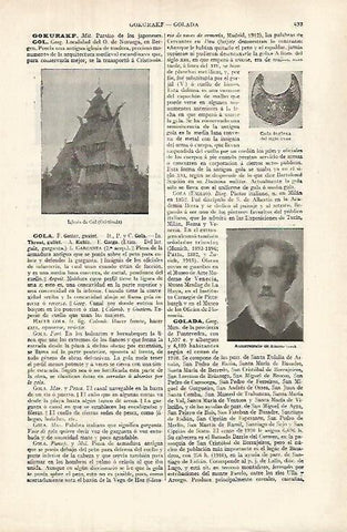 LAMINA ESPASA 32025: Iglesia de Gol Noruega