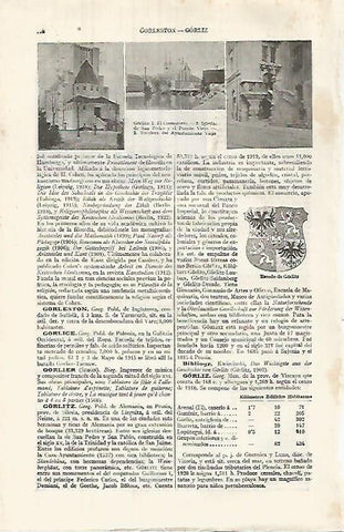 LAMINA ESPASA 32045: Crematorio iglesia y Ayuntamiento de Gorlitz Alemania