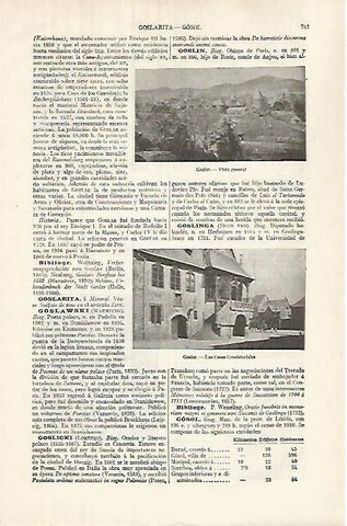 LAMINA ESPASA 32049: Vista y Ayuntamiento de Goslar Alemania